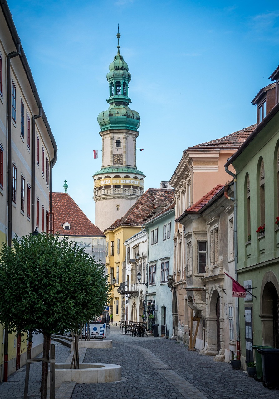 hungary, street, city, sopron, architecture, downtown, road, austria-hungary, baroque, europe, hungary, sopron, sopron, sopron, sopron, sopron