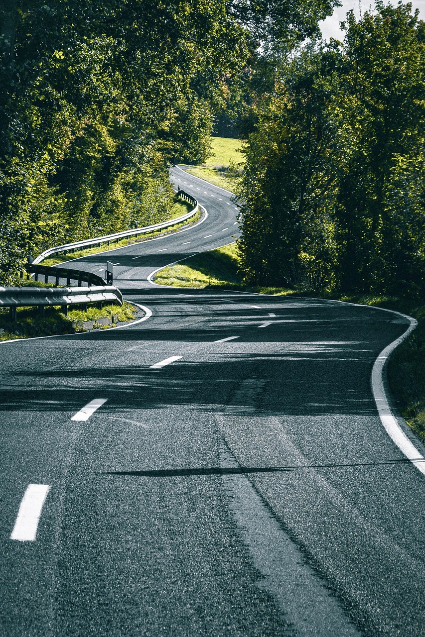 road, path, asphalt, curve, nature, traffic, country road, forest, automobile, to travel, landscape
